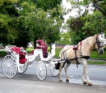 royal ride