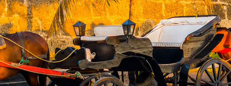Courtyard Carriages