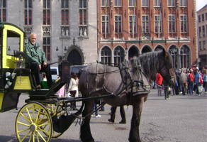 royal ride