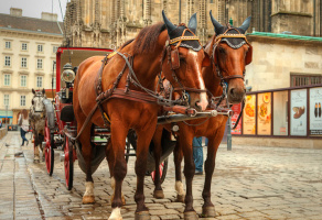 wheeled carriages