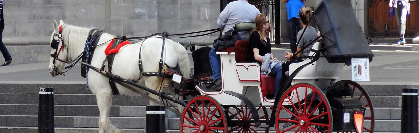 carriage hire services