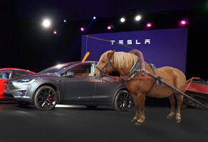 tesla on stage with horse